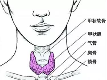 微信图片_20200330153927.jpg