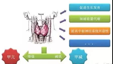 微信图片_20200330153933.jpg