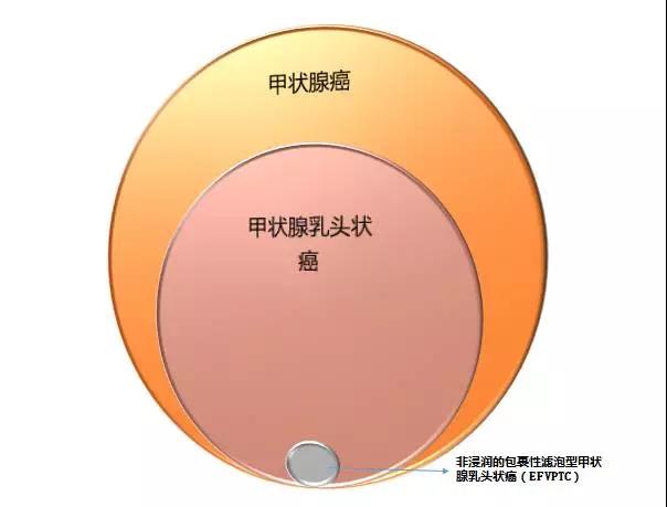微信图片_20200330154214.jpg