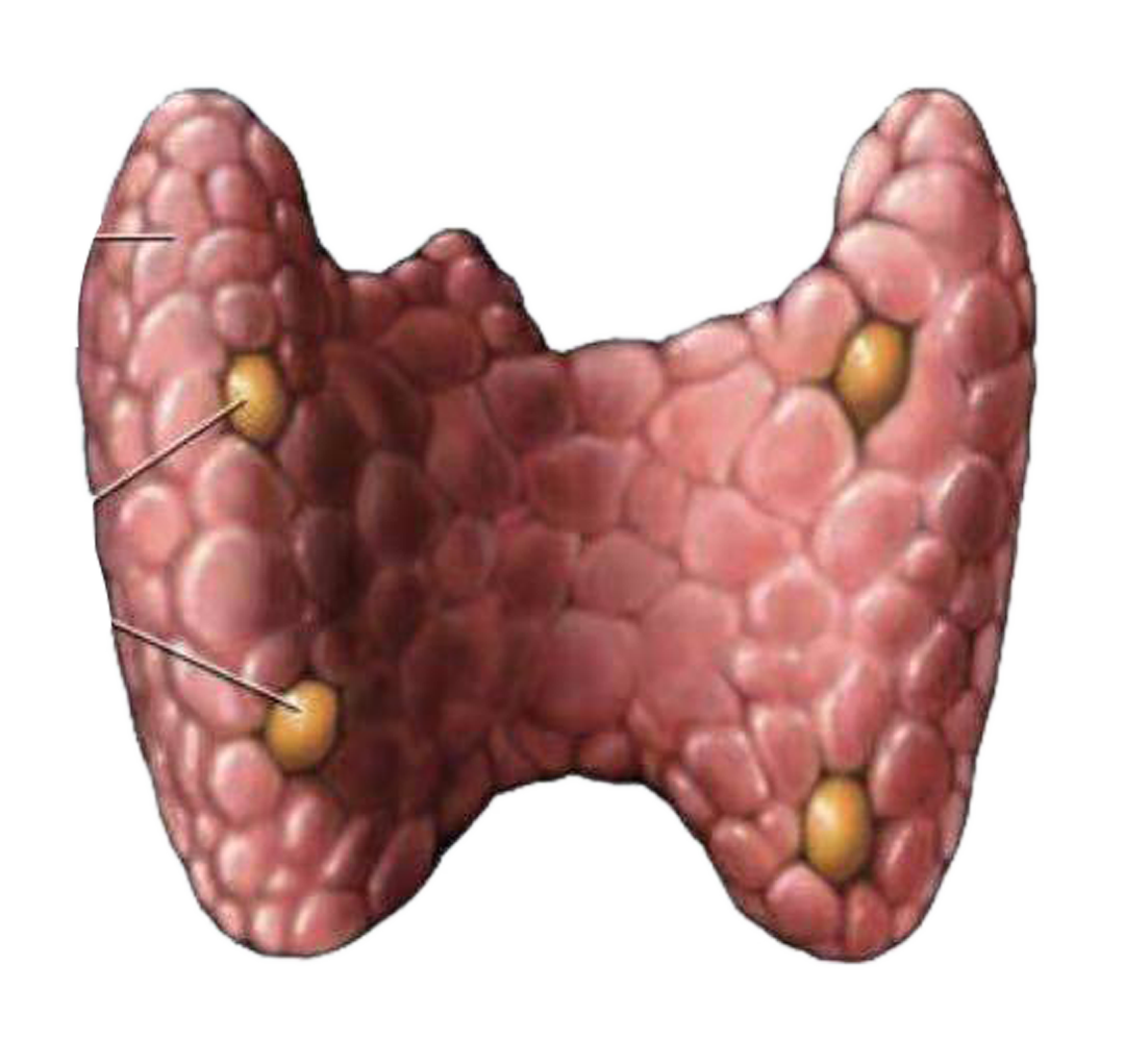 a3d1ddf910b616a0487ec621e969cf89.png