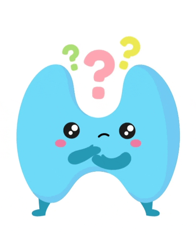 ee72526c299258614ea0e718ac8ce51b.gif